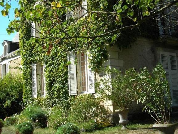 Hotel La Marronniere Cheffes-sur-Sarthe Exterior foto