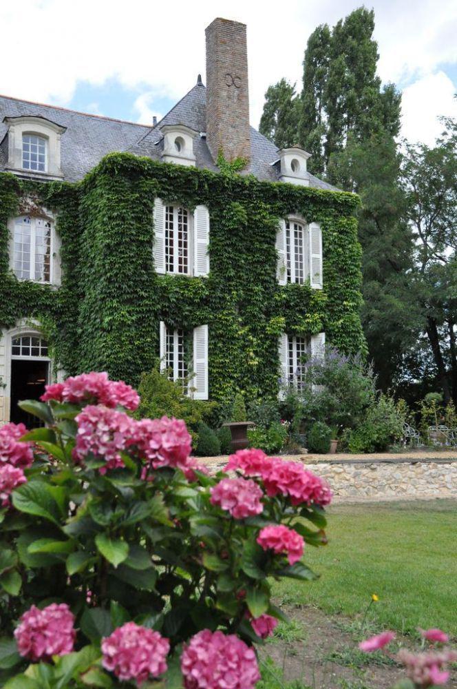 Hotel La Marronniere Cheffes-sur-Sarthe Exterior foto